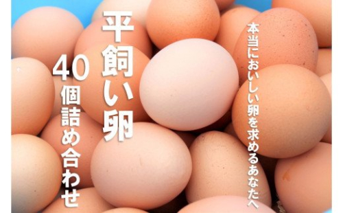 平飼い卵詰め合わせ！40個セット 115177 - 島根県海士町