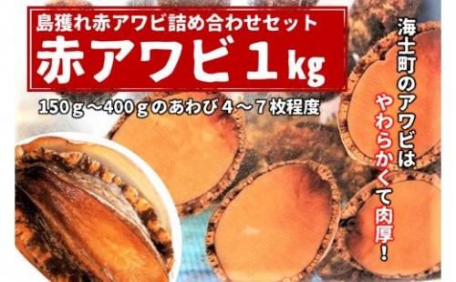 【隠岐・海士町といえばこれ!】島獲れ活あわび(赤鮑)1kgセット ※2022年1月以降発送 115183 - 島根県海士町