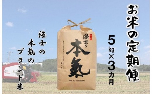 【島のお米の定期便】計15kg！本氣米5kg×3か月定期便 115210 - 島根県海士町