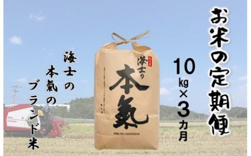 【島のお米の定期便】計30kg！本氣米10kg×3か月定期便 115211 - 島根県海士町