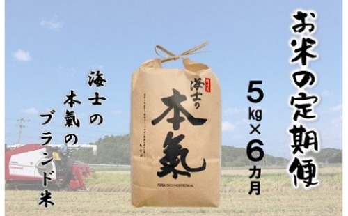 【島のお米の定期便】計30kg！本氣米5kg×6か月定期便 115212 - 島根県海士町
