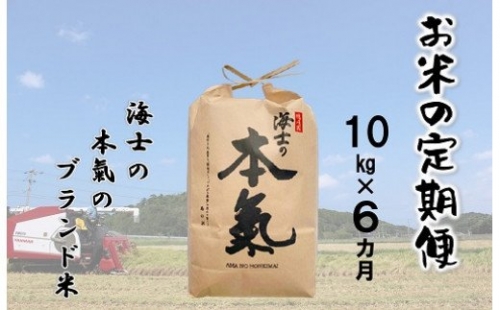 【島のお米の定期便】計60kg！本氣米10kg×6か月定期便 115213 - 島根県海士町