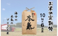 【島のお米の定期便】計60kg！本氣米10kg×6か月定期便