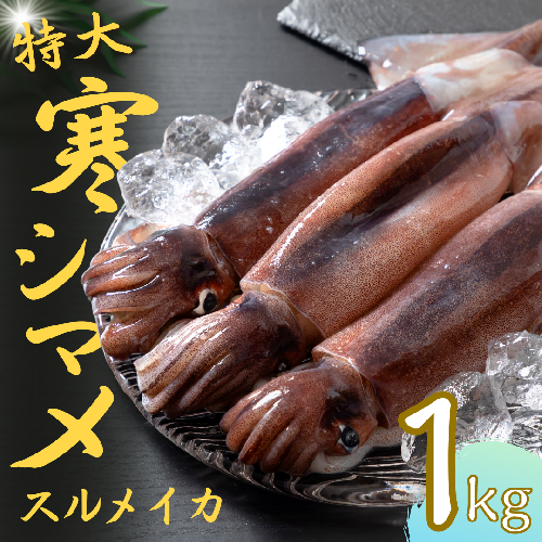 今が旬！朝どれ寒シマメ特大サイズ（350-400g）丸ごと3杯セット 115222 - 島根県海士町