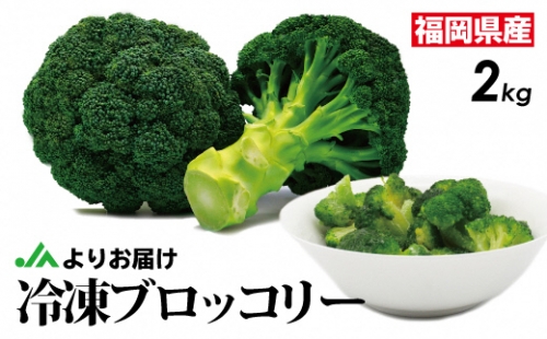 【福岡県産】冷凍ブロッコリー2kg（1kg×2袋）[C2257]
