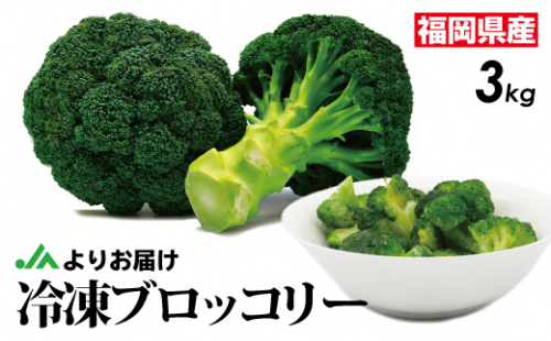 【2026年3月より発送】福岡県産 冷凍ブロッコリー3kg（1kg×3袋）[F2258] 115288 - 福岡県福津市