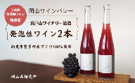 岡山ワインバレー 荒戸山ワイナリー醸造 ワイン2本（発泡性ワイン）