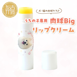 うちの子専用みつろう肉球Bigリップクリーム。セミオーダーですので、可能な限りご要望にお応えしてデザイン致します。ご寄附後、メール等で打ち合わせを進めさせていただきます。 ◆ご寄附からの流れ◆ 【ステ