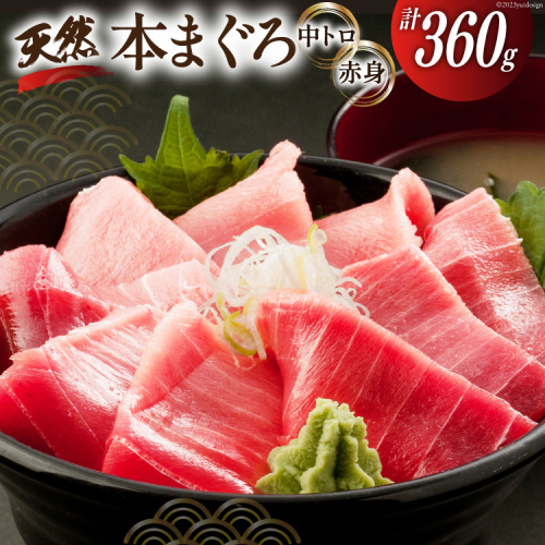昭福丸の天然本まぐろ (中トロ・赤身) 各180g 計360g [臼福本店 宮城県 気仙沼市 20563782] 魚 鮮魚 刺身 トロ 天然本マグロ マグロ まぐろ 鮪 本まぐろ 本マグロ 本鮪 冷凍 1153373 - 宮城県気仙沼市