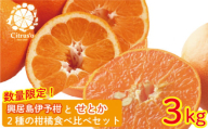 [先行予約・2025年2月上旬から発送]興居島伊予柑とせとか 2種の柑橘食べ比べセット 約3kg みかん 柑橘 みかん フルーツ みかん 食べ比べ ミカン みかん 蜜柑 柑橘 果物 くだもの フルーツ グルメ 愛媛県 松山市