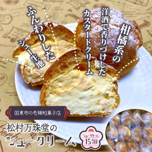 50年変わらない味!地元で人気のシュークリーム15個 115357 - 大分県国東市
