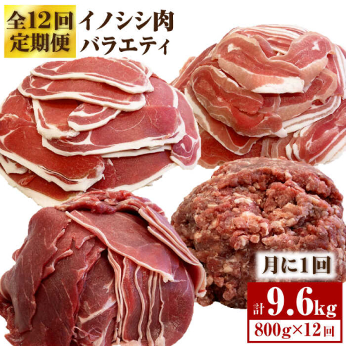 ≪脊振ジビエ≫イノシシ肉バラエティ12回定期便 総量9.6kg【ブイマート・幸ちゃん】 [FAL058] 115362 - 佐賀県吉野ヶ里町