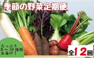 【野菜の定期便】こばやし季節の野菜詰め合わせセット　全12回
