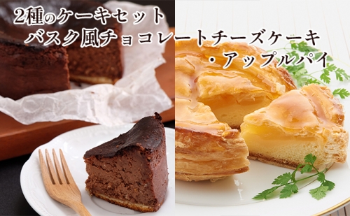 2種のケーキセット（バスク風チョコレートチーズケーキ・アップルパイ）
