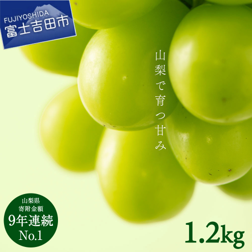 【2026年発送 先行予約】山梨県産 シャインマスカット2～3房 (1.2kg以上) 1154017 - 山梨県富士吉田市