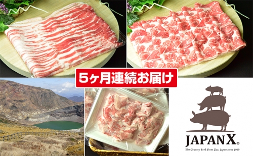 定期便 5ヶ月 JAPAN X 豚肉 3種 2mm スライス セット 2.8kg ( バラ 肩ロース 小間 ) 11549 - 宮城県蔵王町
