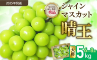 [令和7年発送分]岡山県産 シャインマスカット晴王[秀品]大房5kg(令和7年9月から11月発送)[ 岡山県産 シャインマスカット 秀品 晴王 大房 晴れの国おかやま ]