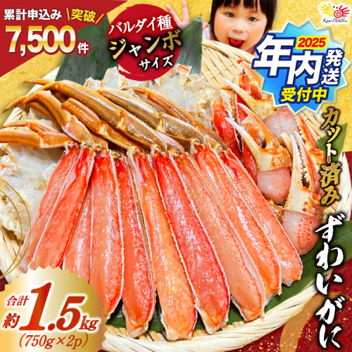 【2025 年内配送】 カット済 ずわいがに むき身セット 総重量1.5kg(750g×2p) かにしゃぶ かに鍋 正味重量1.2kg [カネダイ 宮城県 気仙沼市 20564319] かに カニ ずわいがに ずわい 蟹 棒 魚介 海鮮 ポーション 1155199 - 宮城県気仙沼市