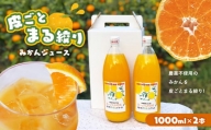 皮ごとまる絞り 果汁100% みかんジュース 1000ml×2本 | 果物 くだもの フルーツ 柑橘 柑橘類 みかん ジュース 皮ごと 丸ごと 熊本県 玉名市 有機栽 培無農薬 100％