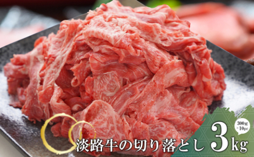 淡路牛の切り落とし3.0kg（300g×10パック)　小分け 国産牛 冷凍 1155449 - 兵庫県淡路市