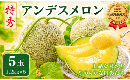 【2027年発送】 メロン 5玉 アンデスメロン 特秀 茨城 果物 くだもの フルーツ 果実 メロン めろん 舐瓜 青肉 青肉メロン 国産 めろん メロン meron melon 旬 デザート 産地直送 農家直送 数量限定 期間限定 旬 お取り寄せ 贈答用 プレゼント ギフト 贈り物 高級 舐瓜 ふるさと納税メロン 茨城県 鉾田市 ほこたメロン 長洲農園 1155708 - 茨城県鉾田市