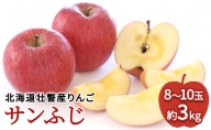 ＜2024年12月上旬よりお届け＞北海道壮瞥町　りんご　品種名「サンふじ」8～10玉約3kg フルーツ 果物 りんご 果樹