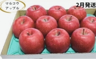 【2月発送】訳あり 家庭用 濃厚サンふじ 約3kg 糖度13度以上【青森りんご・マルコウアップル】