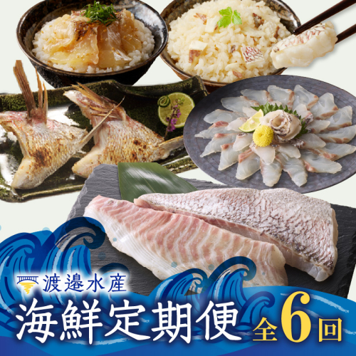 渡邉水産・海鮮定期便（6回） 1155909 - 佐賀県玄海町