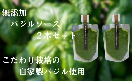温室野菜 sano 生バジルソース２本セット 1155923 - 静岡県袋井市