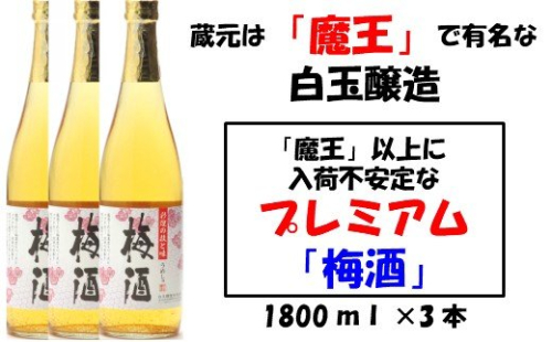 No.1130-1 【魔王の蔵元】白玉醸造の「プレミアム梅酒」3本セット 115596 - 鹿児島県錦江町