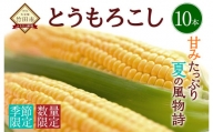 【2024年7月上旬発送開始】竹田市産  とうもろこし  10本 スイートコーン 野菜