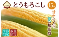 【2024年7月上旬発送開始】 竹田市産  とうもろこし  15本 スイートコーン 野菜