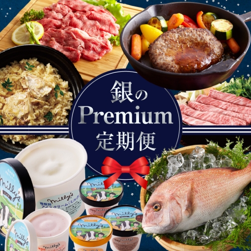 銀Premium定期便 1156080 - 佐賀県玄海町