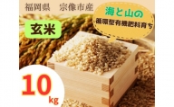循環型有機肥料で育った玄米（夢つくし）10kg【アグリCATS】_HA1438