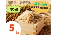 循環型有機肥料で育った玄米（夢つくし）5kg【アグリCATS】_HA1439