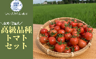 フルーツトマト詰め合わせ3.4kg(茨城県共通返礼品／つくばみらい市産)