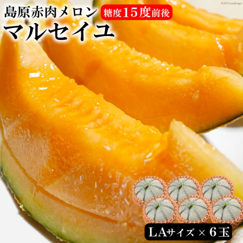 AF013島原赤肉メロン「マルセイユ」（LA×6玉） 115667 - 長崎県島原市