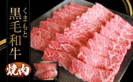 くまもと黒毛焼肉500ｇ | 熊本県 熊本 くまもと 和水町 なごみまち なごみ 牛肉 肉 黒毛和牛 肥後 冷凍 500g 焼肉