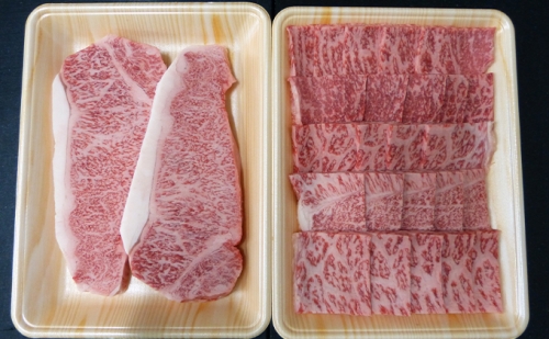 お中元用A5等級飛騨牛ステーキ＆赤身肉焼き肉用セット計1kg（8月お届け）