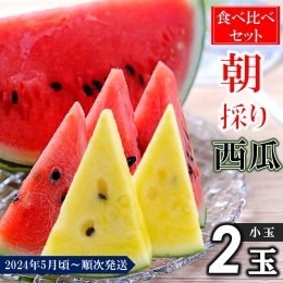 小玉スイカ（赤色）2玉 熊本県和水町産 （発送時期にご注意ください） ※2023年5月中旬頃〜7月頃にかけて順次発送予定。 ※青果物のため、天候等の影響や収穫状況により発送時期が前後する場合がございま