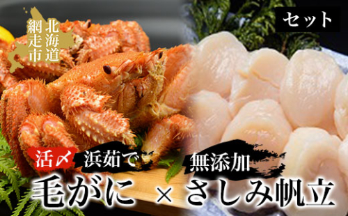 活〆浜茹で毛がにと無添加さしみ帆立セット ABAO001 1157406 - 北海道網走市