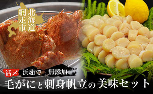 活〆浜茹で毛がにと無添加刺身帆立の美味セット ABAO014 1157418 - 北海道網走市