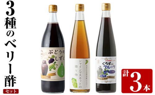 K-112 3種のベリー酢(ピオーネ・シャインマスカット・ブルーベリー)飲み比べセット(計3本)【重久盛一酢醸造場】 重久本舗霧島市 お酢 調味料 黒酢ドリンク ビネガー セット 重久本舗 1157626 - 鹿児島県霧島市
