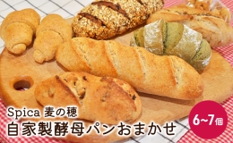 【ふるさと納税】自家製酵母パンおまかせ6〜7個セット