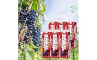 酸化防止剤無添加のやさしいワイン　1,8L　赤　紙パック　6本セット【1466535】