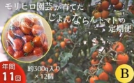 モリヒロ園芸が育てたじょんならんトマトの定期便B 約300g×12個入り（年間11回）