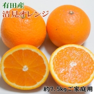 【産直】有田産清見オレンジ約7.5kg（訳あり家庭用サイズおまかせまたは混合）
