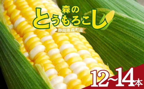 【テレビで紹介されました！】とうもろこし 先行予約 森のとうもろこし 12～14本 甘い 野菜 夏野菜 旬 夏 高糖度 産地直送 旬の野菜 季節の野菜 おやつ 行列のできる コーン 先行 予約 2026年 静岡 森町 冷蔵 冷蔵配送 1158771 - 静岡県森町