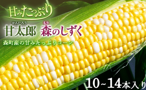 コーン 先行予約 とうもろこし 10～14本入り 産地直送 野菜 夏野菜 おやつ 夏 2026年 1158772 - 静岡県森町