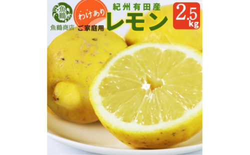 ［ご家庭用訳あり］ 紀州有田産レモン 2.5kg［2026年3月上旬以降発送］［先行予約］［UT46］ 1159389 - 和歌山県那智勝浦町